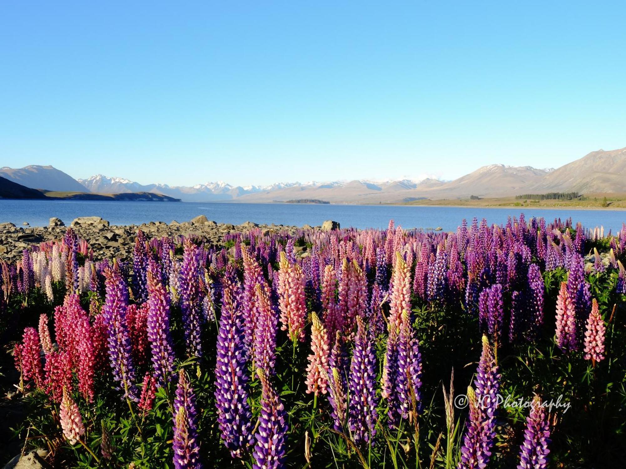 Tekapo Luxury Apartments Lake Tekapo Exterior photo